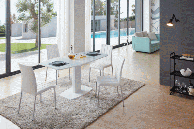 Clearance Dining Room 2396 Table with extention and 3450 Chairs